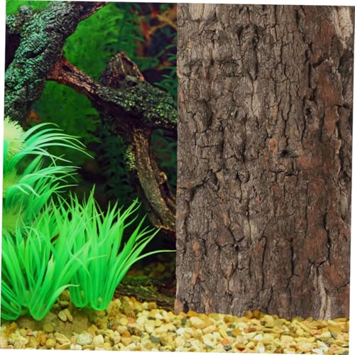 BESPORTBLE 3pcs Reptile Cork Bark Background for Terrarium Natural Tree Bark Decor for Fish Tank and Reptile Habitat and Safe Wall Decor