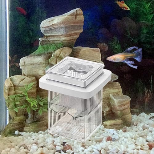 Gupy Breeder Box Acclimation Case Reconcilable Aquarium Delivers Fishing Tank Parts Fish Tank Breeder for Home Use, White - color: White