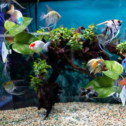 6PCS Betta Aquarium Decoration - Leaf Pad, Feeding Ring, Acrylic Tube Tunnel, Hideout Ornament for Fish Tank Decor