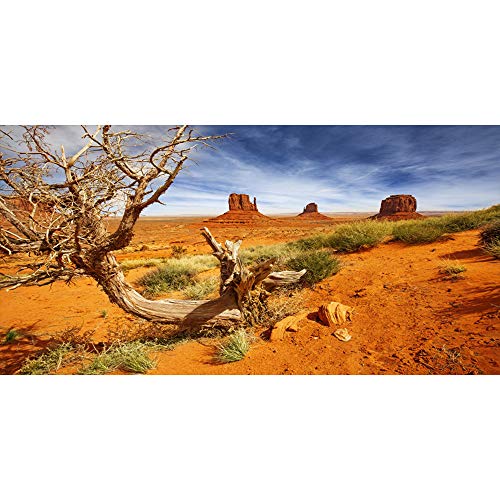 72x18 inches Monument Valley Photography Background American National Park Navajo Tribal Park Western Desert Plant Rock Dry Trunk Warship Landmark Film Polyester Backdrop Terrarium Background