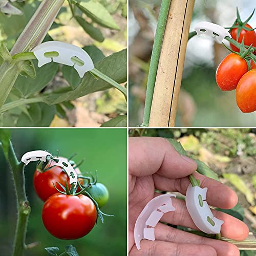150 Pcs Low Stress Training Clips, 90 Degree Plant Clips Branches Clips Control The Growth of Plants Branches Clamps for Low Stress Planting Clip Climbing Plants Garden Plant Grow Tools