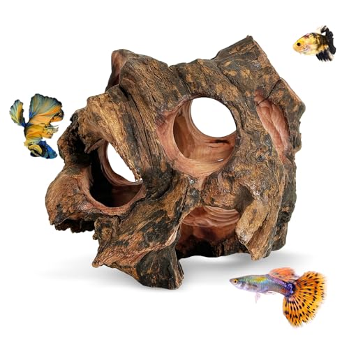 Betta Fish Cave Natural Wood Betta Fish Hideout for Aquarium Fish Tank Decorations Hideout Betta Fish Accessories Habitat Shelter for Crayfish Shrimp and Other Aquatic Pets