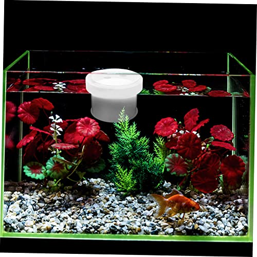Toddmomy Acrylic Floating Fish Tank Breeding Box with Water Permeable Bottom Transparent Aquarium Isolation Container for Small Fish Fry Supplies