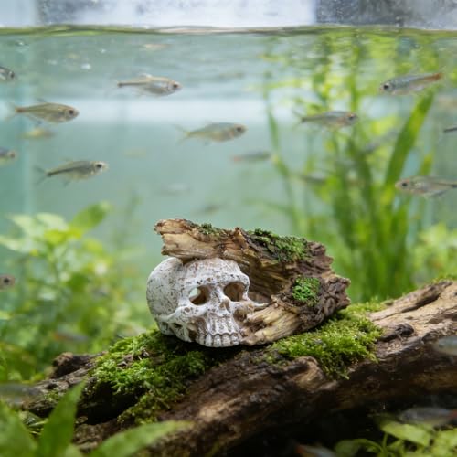 Skull Aquarium Decorations - Resin Fish Tank Rock Cave with Realistic Tree Hole, Hollow Hideout for Betta, Shrimp, Axolotl, Gothic Water Tank Ornament