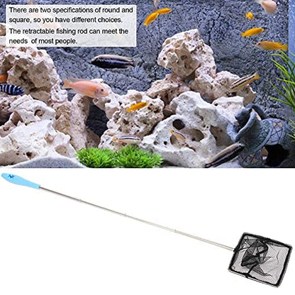 Aquarium Shrimp Net, Stainless Steel Fine Mesh Nest Extendable Fish Fish Skimmer Net Scoop with Long Handle()