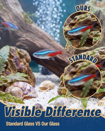 5 Gallon Ultra Clear Glass Fish Tank, Easy to Maintain Small Aquarium for Betta, Goldfish, Shrimp, Snails and Aquatic Plants - color: Transparent, size: 5 Gallon