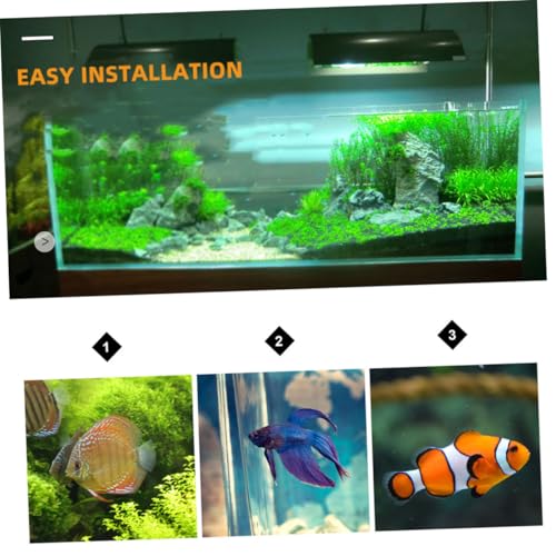 ARTIBETTER Fish Tank Divider Boards 10pcs Plastic Grid Aquarium Isolation Plates Black for Fish Separation and Bottom Filter Mesh in Aquariums
