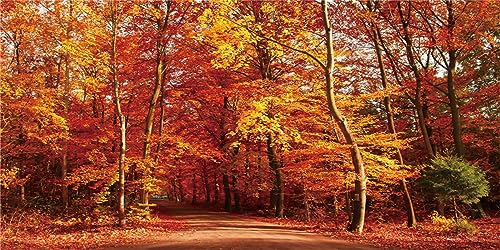 AWERT 60x24 inches Fall Leaf Forest Terrarium Background Autumn Maple Leaf Woodland Reptile Habitat Background Rural Natural Landscape Aquarium Background Vinyl Background - size: 60x24in/150x60cm