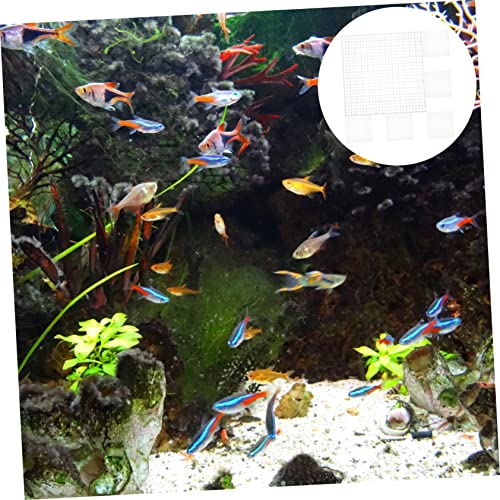 Toddmomy 6Pcs Fish Tank Divider Isolation Board Mesh Divider for Aquarium Fish Separation for Breeding and Isolation Reliable Pe Material