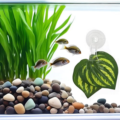 12 Pieces 45mm Suction Cup Clip Advertising Pop Display Business Cards Holder Stand Clear Clamps for Fridge Shower Aquarium