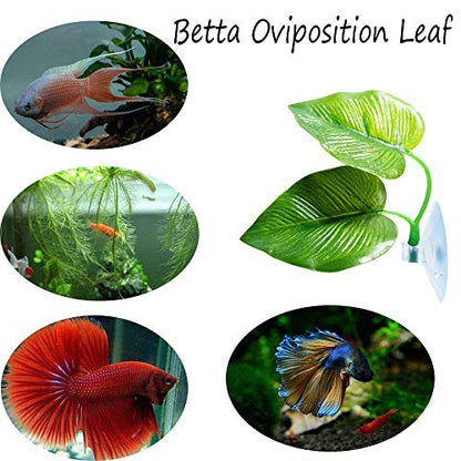 4 Pack Betta Fish Leaf Pad Improves Betta's Health by Simulating the Natural Habitat - Natural, Organic, Comfortable Rest Area for Fish Aquarium - size: 4 Pack