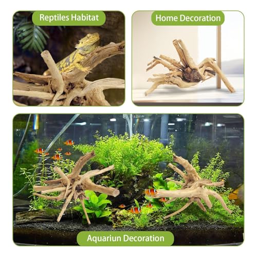 Natural Driftwood for Aquarium, 11-13 inch Reptile Branches Terrarium Wood Aquarium Trunk Driftwood Tree Fish Tank Log Decoration Pack of 2 - size: Spiderwood（7-13 inch pack of 2）