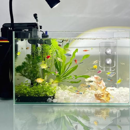 UKCOCO Aquarium Feeder Ring with Suction Cups Small Fish Feeding Cup for Tank Supplies Sinking Feeding Tube to Prevent Food Drift for Fish and Shrimp