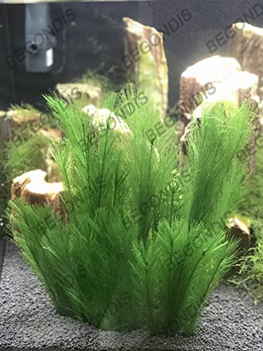 3Pcs Aquarium Decorations Fish Tank Artificial Green Water Plants Made of Silk Fabrics Plastic - color: 7" * 3 Pcs, Green