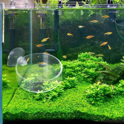 2 Pack 60mm Aquarium Shrimp Feeder Dish with Suction Round Clear Fish Tank Food Tray Container Feeder Bowl Prevent Food Spilling