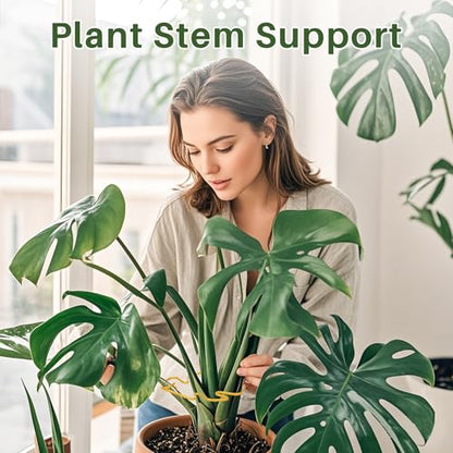 Monstera Plant Support for Indoor Plants Metal Plant Stem Holder Plant Support Ring for Climbing Plants Stem Stabilizer (6.29 * 7.08inch/ 5) - size: 6.3*7.1/5