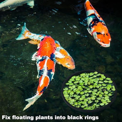 10pcs Fish Feeding Rings Set, 5 Sizes Round Floating Aquarium Plant Corral, Fish Tank Aquarium Accessories for Betta (Black)