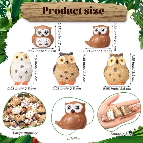 Wesiti 40 Pcs Resin Mini Owl Figurines Owl Miniature Figurines Bulk Mini Resin Statues for Summer Miniature Garden Accessories Micro Landscape Plant Pots Bonsai Fairy Decorations (Elegant Style) - style: Elegant Style