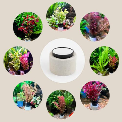 Aquatic Plants Fixed Set 10pcs Aquarium Plant Weights Pot and 10pcs Planting Cup with 10pcs Fixing Cottons Aquarium Accessories (30)