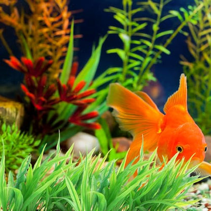 POPETPOP 3Pcs Aquarium Fake Plants Realistic Plastic Fish Tank Decoration Artificial Aquatic Grass for Fresh and Saltwater 4.72X3.93X1.65 Inches