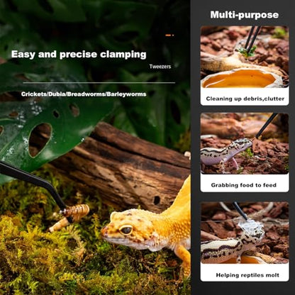 Reptile Long Handle Feeding Tools,2Pcs Aquarium Tweezers with Rubber Tip, 1Pcs Spoon & clamp,Terrarium Aquascape Tools Feeder for Lizards, Bearded Dragon Snake Tank Accessories