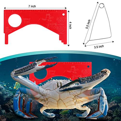 2 Sets Crab Trap Bait Wire Grid Bottom Crab Nets Foldable Fishing Net Hand Casting Cage with Harness and Bait Clip