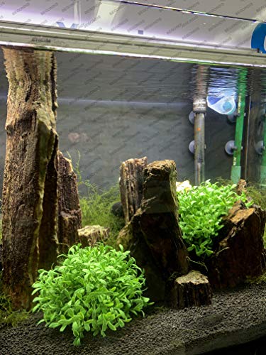 Aquarium Decorations Fish Tank Artificial Green Water Plants Made of Soft Plastic, Safe for All Fish & Pets (Style-3)