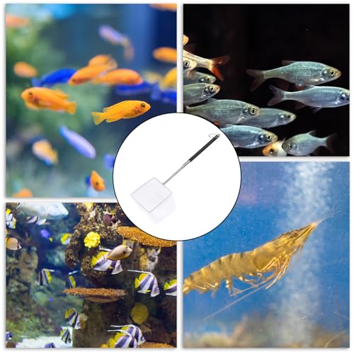 Aquarium Fish Net 3 Inch with Extendable Stainless Steel Handle Square Soft Fine Mesh Shrimp Net for Fish Tank, Stream, Pond