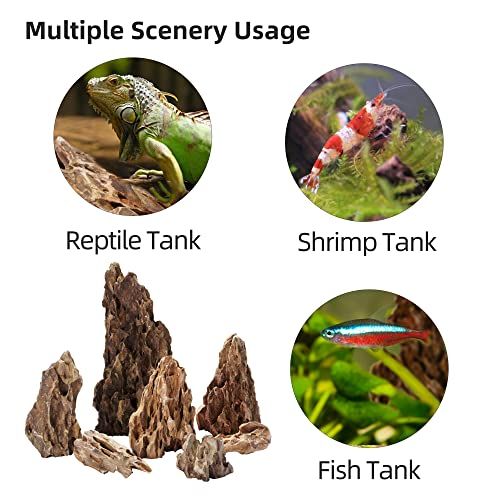 Natural Dragon Stones (16lbs, 2~8 inches,7-8pcs) for Aquascaping Terrariums, Paludariums,Vivariums, Reptile and Amphibian Enclosures - size: 01 Dragon(Ohko) Stone(2-8inch,16lbs)