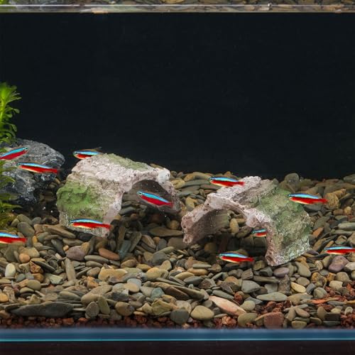 IBWell 2 Pack Aquarium Hideout Reptile Cave Betta Log Resin Hollow Tree Trunk Ornament Terrarium Tank Decoration for Fish Turtle Small Reptile - Short