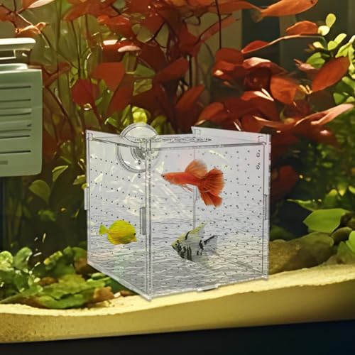 Breeder Box for Fish Tank – 10x10x10cm Acrylic, Clear Nursery Hatchery, Breeding Container | Perfect Aquarium Fry Raising, Betta Isolation Space, Guppy Support, Angelfish Egg Care, Shrimp Habitat