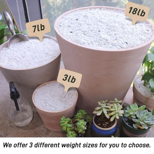45lb White Cactus Pea Gravel Rocks,1/4 Inch Pebbles for Indoor Plants, Natural Succulent Rock and River Rocks Decorative for Aquariums, Vases, Outdoor Gardening, Top Dressing for Potted Plants