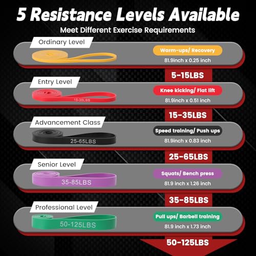 Pull Up Assistance Bands Set of 5 - Resistance Bands for Working Out, Exercise Bands for Pull Up Bands, Full Body Training, Muscle Building, Physical Therapy, Home & Gym Fitness for Men & Women