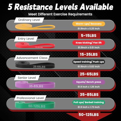 Pull Up Assistance Bands Set of 5 - Resistance Bands for Working Out, Exercise Bands for Pull Up Bands, Full Body Training, Muscle Building, Physical Therapy, Home & Gym Fitness for Men & Women