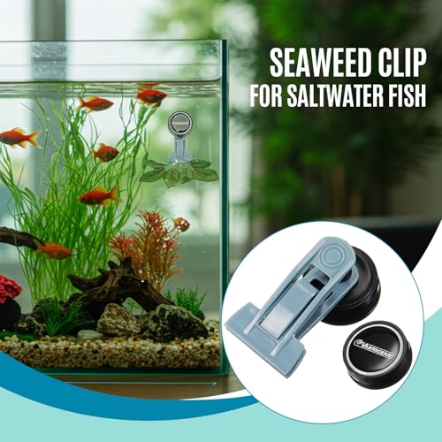 Blulu 4 Pcs Magnetic Seaweed Feeding Clips Saltwater Aquarium Tank Accessories Algae Magnet Seaweed Feeder for Fish and Aquatic Pets, Automatic Fish Feeder