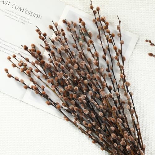 Natural Preserved Dried PussyWillow Branches for Vases, 20 Stems Real Willows, 17” Snow Pussywillows, Dried Flowers for Indoor Decor, Wedding Home DIY Floral Art Plants Fireplace, Brown