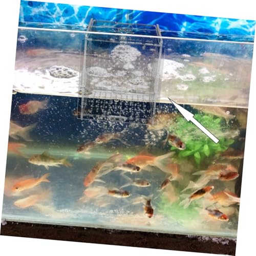COLLBATH 1set Fish Isolation Box with Cups and Hook Acrylic Breeding Container for Fish Separation Tanks Design Prevents Jumping and