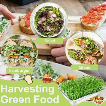 Stainless Steel Sprouting Trays, 2-Tier 10.4 x 7.7 in Microgreens Growing Tray Set with Extra-Fine Silicone Mesh for Alfalfa, Broccoli, Mung Beans, Peas, Rapeseed, Wheatgrass - size: 10.4"L × 7.67"W Tray