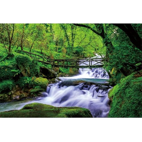 YongFoto Jungle Flowing Stream Forest Waterfall Backdrop 7x5ft Tropical Rainforest River Rock Moss Spring Nature Scenery Photography Background Party Banner Room Decor Portrait Photoshoot Wallpaper - color: Style 2, size: 7ftx5ft