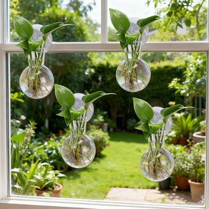 6 Pack Window Propagation Stations Plastic Wall Hanging Planter with Suction Cups Brush Window Suction Plant Holder Vases Tubes Terrarium for Home Office Decor (Bulb)