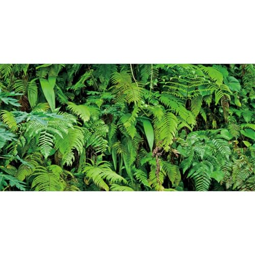 AWERT 48x18 inches Tropical Terrarium Background Tropical Plants Leaves Aquarium Background Rainforest Reptile Habitat Background Vinyl