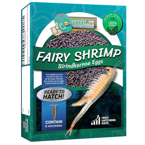 GREEN WATER FARM Fairy Shrimp Sirindhornae Eggs Live Fish Food for Hatching and Culture Suitable for Feed Betta Fish