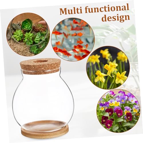 Betta Fish Tank Glass Bowl Lid and Mat for Hydroponic Plants for Desktop Decoration and Small Aquatic Environments