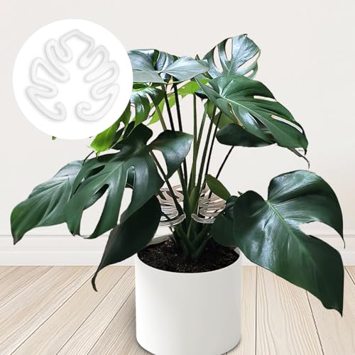 2 Pack Plant Stem Support,Plastic Monstera Plant Support, Climbing Houseplant Stem Supports, Stem Hook Growth Accessories for Plant
