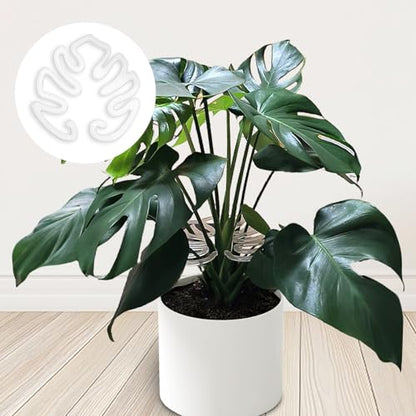 2 Pack Plant Stem Support,Plastic Monstera Plant Support, Climbing Houseplant Stem Supports, Stem Hook Growth Accessories for Plant