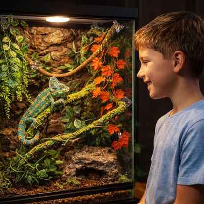 Reptile Vines Plants for Terrarium, Flexible Vines Jungle Climbing Branch with Leaves Tank Decor for Snakes Bearded Dragons Geckos Hermit Crabs Lizards Chameleons