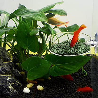 60mm Aquarium Shrimp Feeder Dish with Suction Glass Fish Tank Feeding Bowls Round Clear Dishes Tray