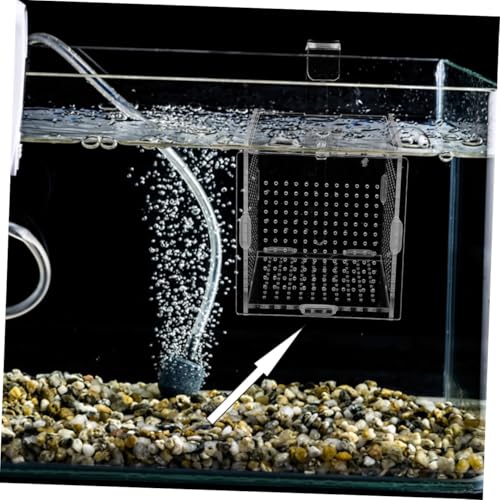 COLLBATH 1set Fish Isolation Box with Cups and Hook Acrylic Breeding Container for Fish Separation Tanks Design Prevents Jumping and