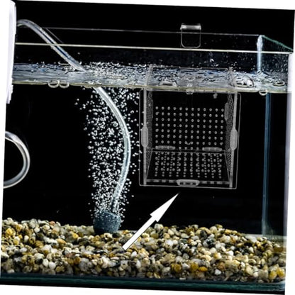 COLLBATH 1set Fish Isolation Box with Cups and Hook Acrylic Breeding Container for Fish Separation Tanks Design Prevents Jumping and