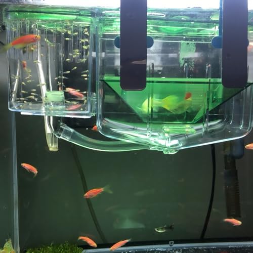 DOITOOL Fish Breeding Tank 2-Pack Transparent Isolation Box with Fine Mesh for Aquarium Fry Separation and Guppy Hatchery Home Use 5.11X7.48X4.33In